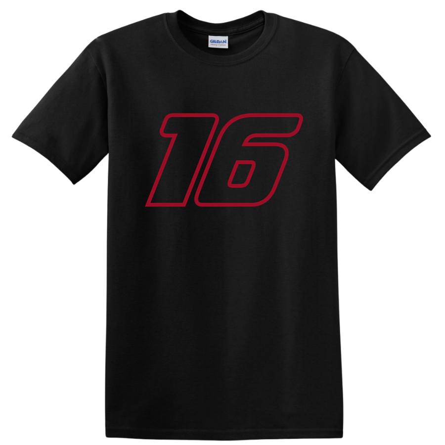 16 Graphic T Shirt for Sports Fans Cool Design Unique Style Casual Tee